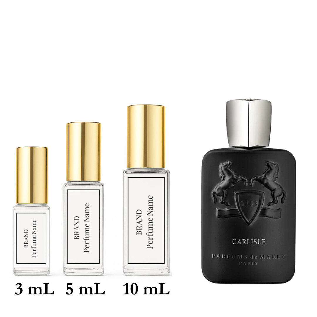 Collection of perfume bottles with different sizes on a white background