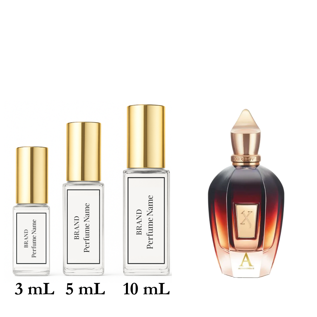 Set of four perfume bottles with varying sizes on a white background