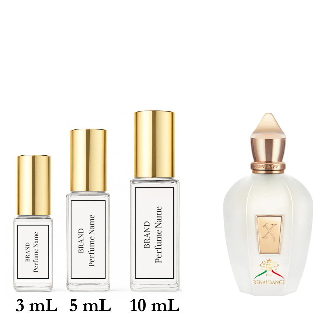 Set of four perfume bottles with varying sizes on a white background