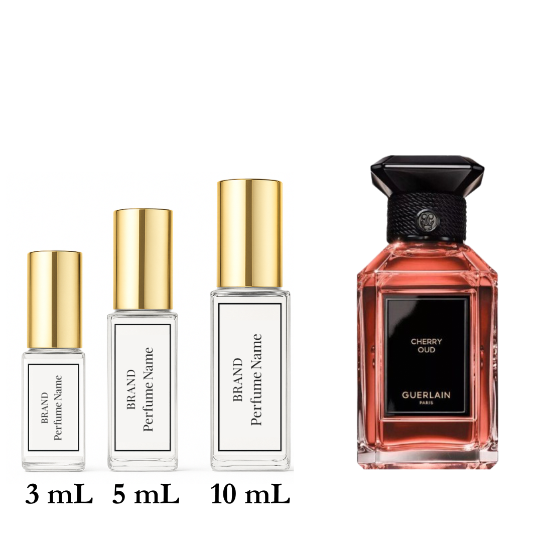 Collection of perfume bottles with different sizes on a white background