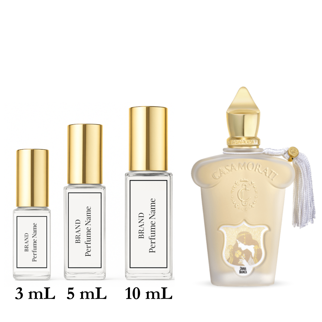 Set of perfume bottles with different capacities on a white background