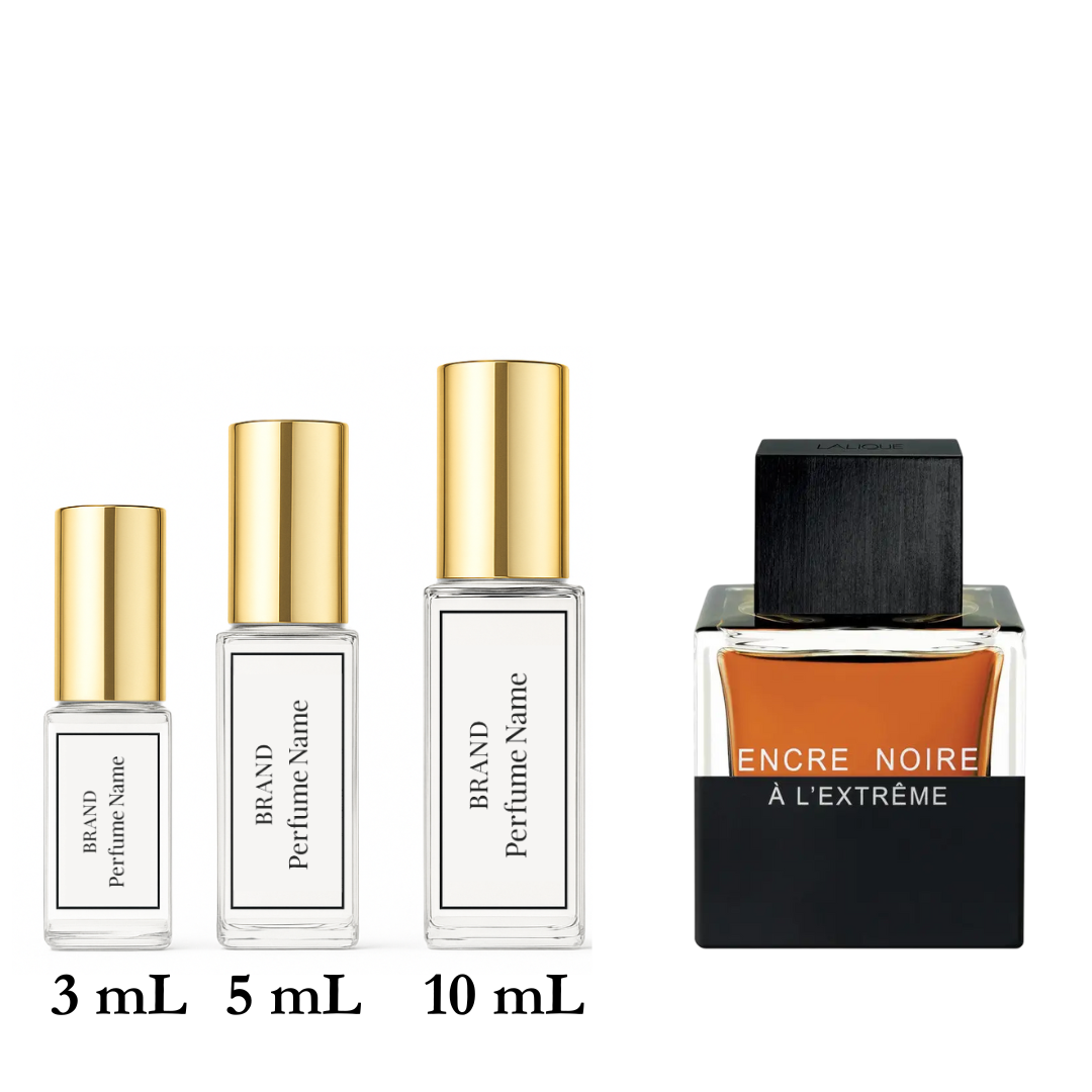 Set of perfume bottles with different sizes on a white background