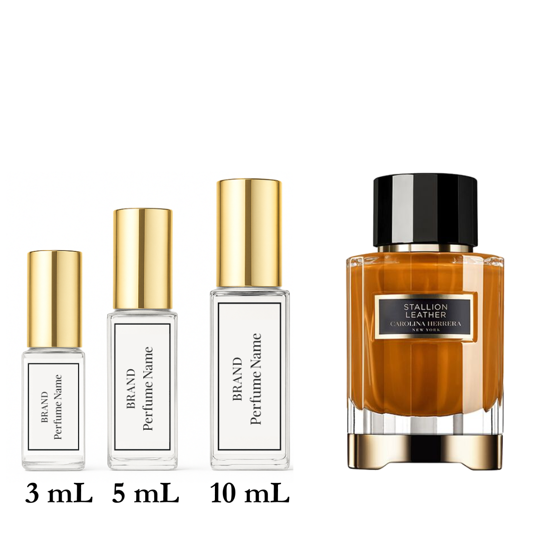 Set of perfume bottles with different sizes on a white background