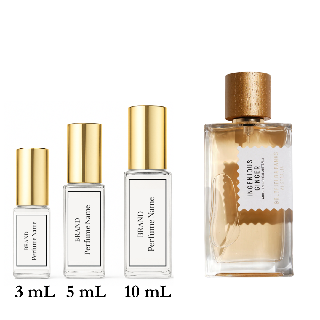 Set of four perfume bottles with varying sizes on a white background