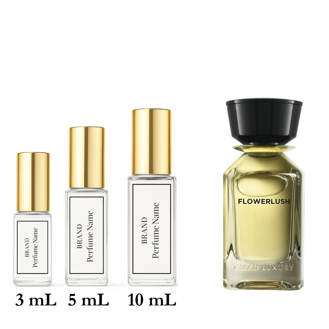Set of four perfume bottles with varying sizes on a white background