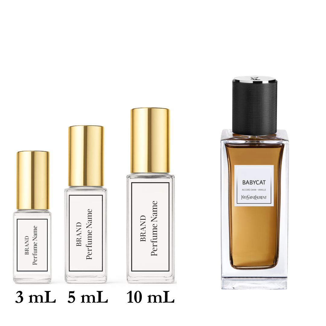 Set of four perfume bottles with varying sizes on a white background