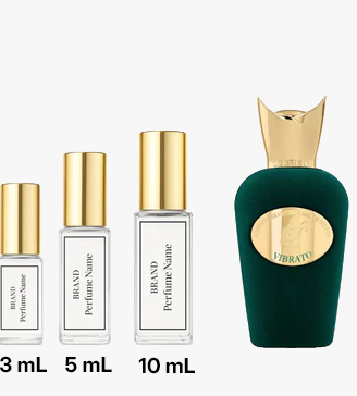 Collection of perfume bottles with different sizes on a white background