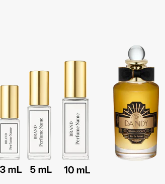 Collection of perfume bottles with different sizes on a white background