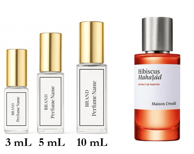 Set of perfume bottles with different sizes on a white background