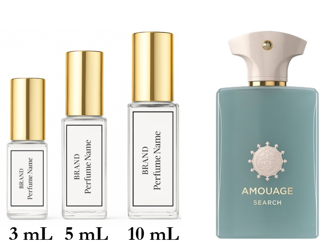 Collection of perfume bottles with different sizes and brands on a white background