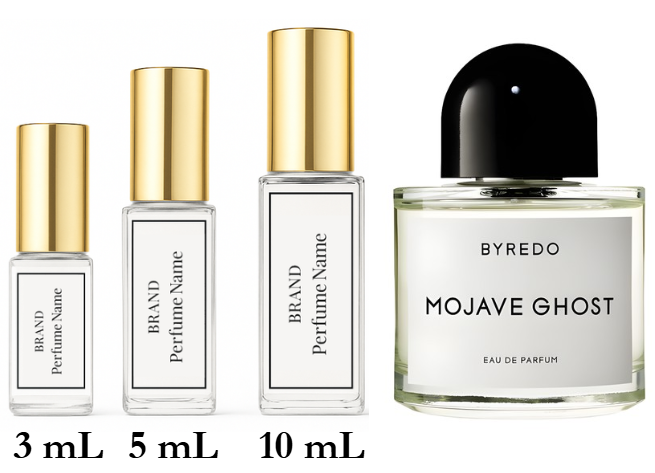 Collection of perfume bottles with varying sizes on a white background